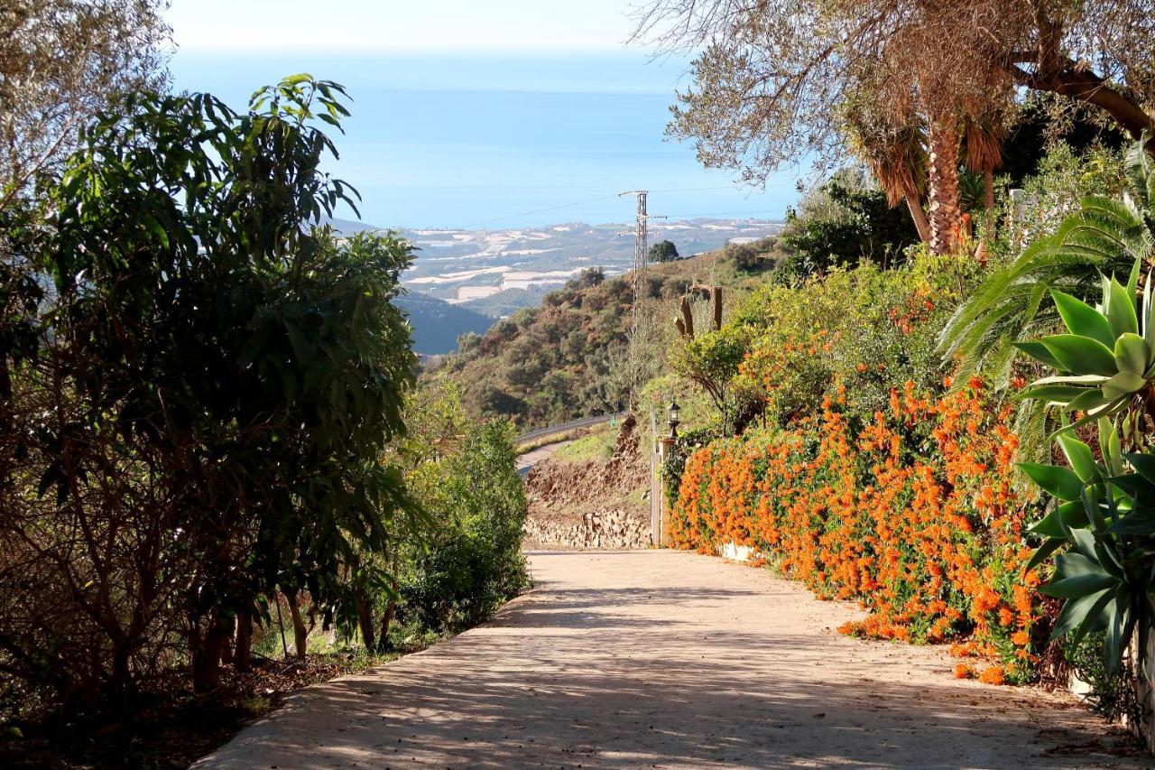 Villa Los Naranjos Sayalonga Εξωτερικό φωτογραφία