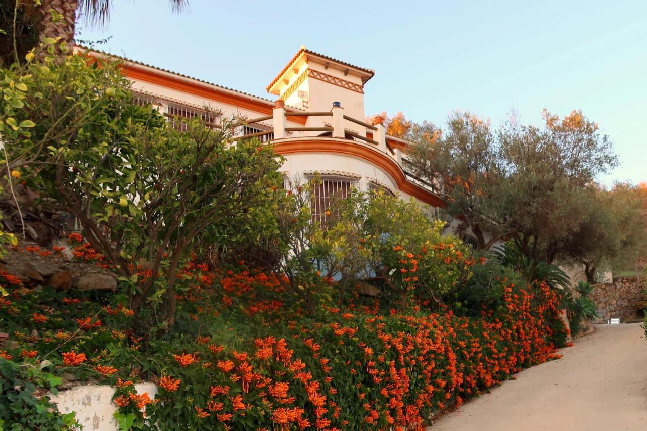 Villa Los Naranjos Sayalonga Εξωτερικό φωτογραφία