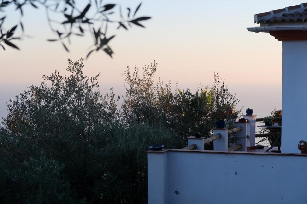 Villa Los Naranjos Sayalonga Εξωτερικό φωτογραφία